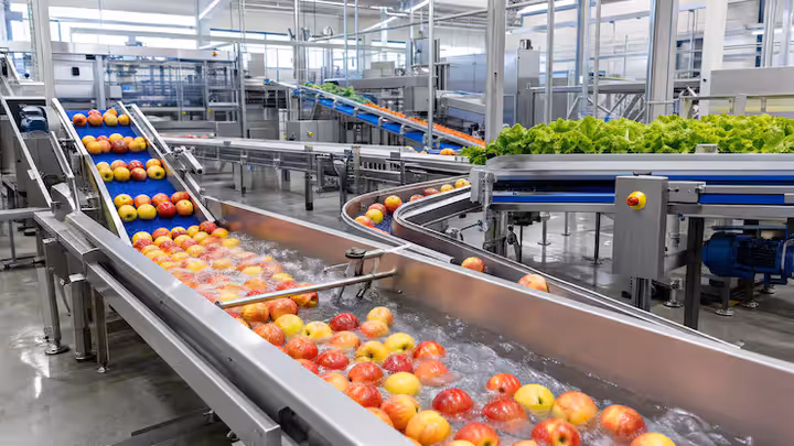 Industrial Fruit Peeling Machines: A Guide to Peeling Technology and Processing Efficiency